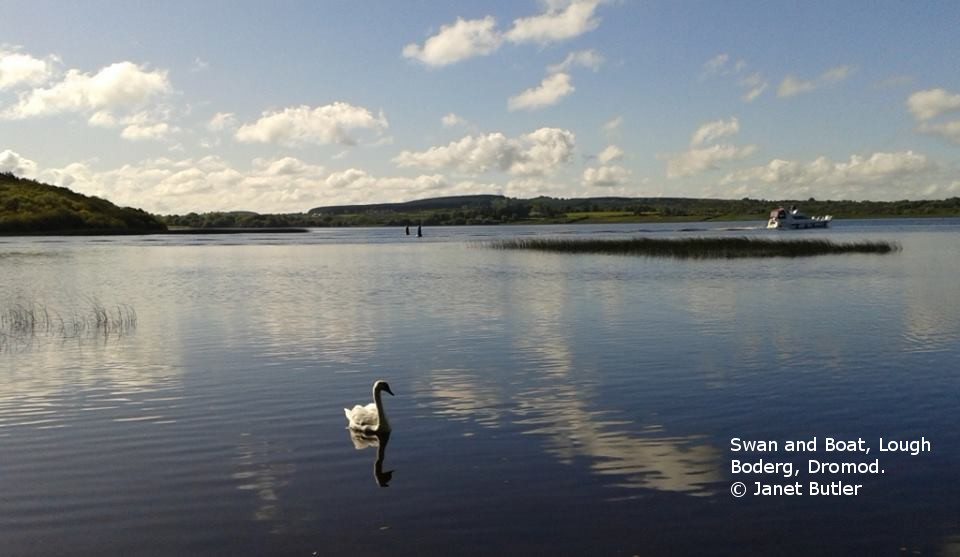 Lough Boderg near Dromod